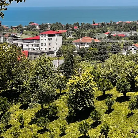 Apartment Mirayim &
