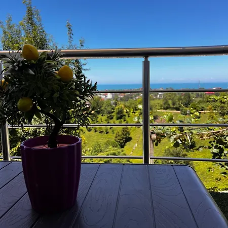 Apartment Mirayim &